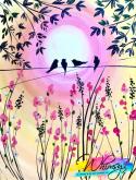 The image for NEW : Early Bird