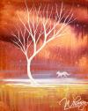 The image for Call Of The Wild