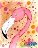 The image for Funky Flamingo