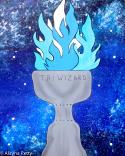 The image for KIDS CAMP - Goblet of Fire