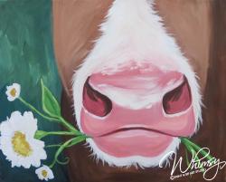 The image for Daisy Mae