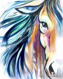 The image for SOLD OUT : Wild And Free (RQ)