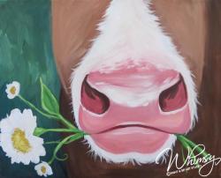 The image for Daisy Mae