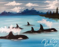 The image for Orca Pod