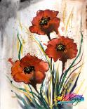 The image for NEW ART : A Splash Of Poppy