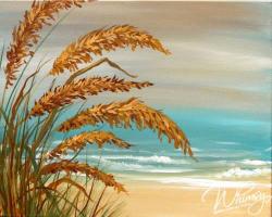 The image for Surf & Seagrass