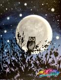 The image for Owl Nighter