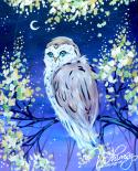The image for Gaurdian of the Night
