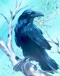 The image for Nevermore